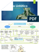 El Sistema Linfático