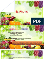 Fruto