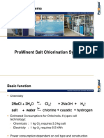 Prominent Salt Chlorination System