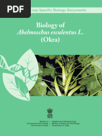 Biology - of - Okra 1 PDF