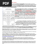 A Sociedade Secreta Da Cabala