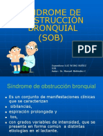 SOB - PPT.PPT Versión 1