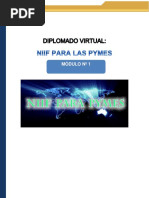 Guía Didáctica Módulo 1 NIIF para PYMES