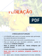 Bve Floração