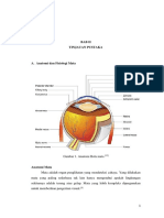 Pemeriksaan Fisik Mata PDF