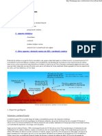 Ciclos Del Carbono