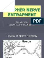 Peripheral Nerve Disorders (Dr. Ken)