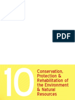 Environment PDF