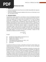 Guía P4. Pérdidas Mayores PDF