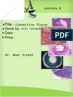 Histology, Lecture 6, Connective Tissues (Lecture Notes)