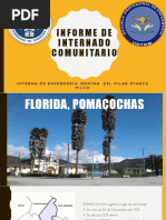 Informe de Internado Comunitario-Pomacochas, Amazonas