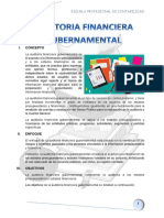 Auditoria Financiera Gubernamental Completo