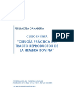 Teoria de Cirugia Bovina