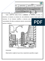 Ambiente Natural e Modificado 2º Ano Geografia PDF