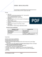 Anemia Megaloblastik