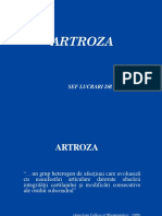 Artroza PDF