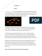 Bioteknologi Forensik (Dna Fingerprint)