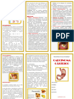 Carcinoma Gástrico - Triptico