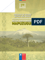 Programa - Lengua Indigena - Mapuzungun - 7º Año