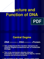 Structure and Function of DNA