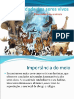 Diversidade Dos Animais