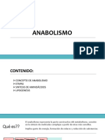 Anabolismo 