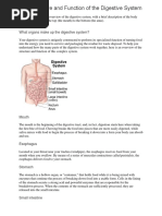 The Structure and Function of The Digestive System