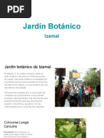 Jardín Botánico Izamal