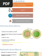 Togavirus y Flavivirus