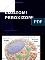 Lizozomi Peroxizomi 2018