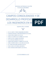 Campos Consolidados y de Desarrollo Profesional de Los Ingenieros en México