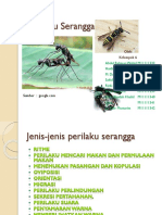 Perilaku Serangga