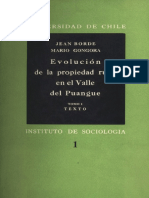 Valle de Puangue Tomo 1 PDF