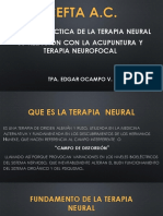 Terapia Neural 2019 (Autoguardado)