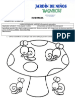 Evidencias Segundo Preescolar