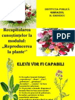 Reproducerea La Plante 1