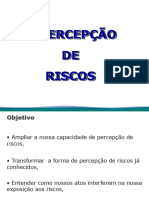 Treinamento Percepcao de Riscos