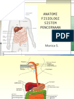 Anatomi Fisiologi Sistem Pencernaan - 4mhs