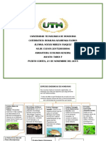 Tarea 7 - Mapa