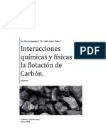 Interacciones Fisicas y Quimicas en La Flotacion Del Carbon