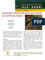 Damping Off PDF