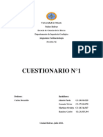 Cuestionario Sedimentologia