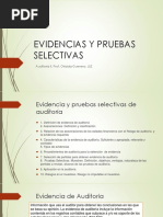 Evidencias y Pruebas Selectivas