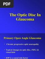 Optic Disc