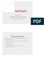 Curs Master Hematologie