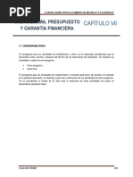 Cap Vii Cronograma, Presupuesto y Garantia Financiera