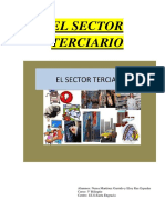 El Sector Terciario