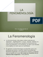 La Fenomenología en Psicoterapia