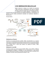 Tecnicas de Hibridación Molecular