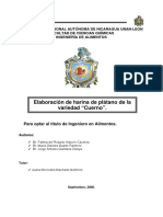 Elaboracion de Harina de Platano PDF